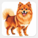 Buscar pomerania pegatinas Lindo