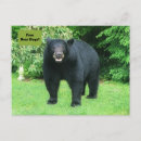 Buscar abrazo de oso postales General y unisex