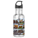 Buscar vacas agua botellas Ganado