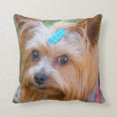 Buscar yorkie cojines Lindo