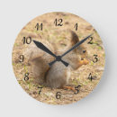 Buscar ardillas lindas relojes de pared Salvaje