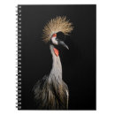 Buscar el brasil cuadernos Naturaleza