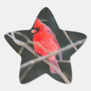 Buscar estrella del norte pegatinas Bosque