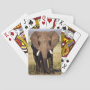 Buscar imágenes animales barajas de cartas Elefante