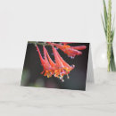Buscar rocío de la mañana tarjetas Flor