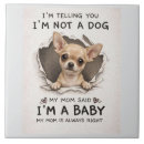 Buscar chihuahua azulejos Cachorro