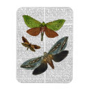 Buscar mosca imanes Steampunk