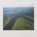 Buscar amazonas postales Amazonia