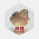 Buscar pollo divertido adornos Granja