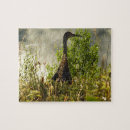 Buscar arenoso puzzles Pájaro