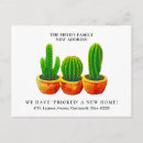 Buscar cactus postales Moderno