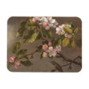 Buscar colibrí imanes Pintura