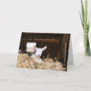 Buscar newborn tarjetas Cute