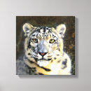 Buscar onza arte Fauna