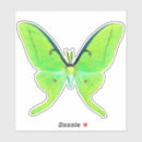 Buscar polilla manualidades Luna moth