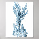 Buscar coral posters Verano
