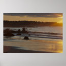 Buscar pointe arte Playa