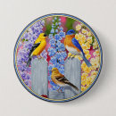 Buscar cardenales redondos pins Para ella