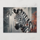 Buscar cebra postales Vida silvestre