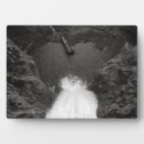 Buscar oregon placas fotograbadas Primavera