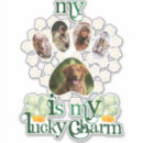 Buscar perros pegatinas Trineo