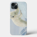 Buscar oso ipad fundas Ártico