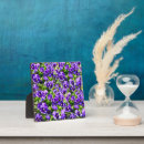 Buscar planta placas fotograbadas Morado