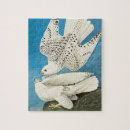 Buscar halcones puzzles Aves de presa