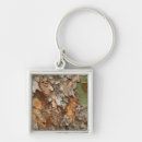 Buscar corteza llaveros Parque nacional