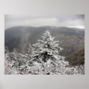 Buscar smokies posters Árbol