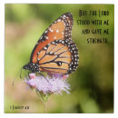 Buscar cristianos azulejos Mariposa