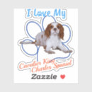 Buscar rey de perros Charles