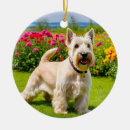 Buscar scottish terrier adornos Aterrador