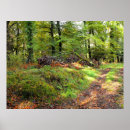 Buscar moho posters General y unisex