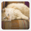 Buscar sofá pegatinas Interior