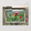 Buscar bien hecho postales Biblia