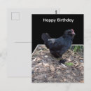 Buscar gallina tarjetas Gallo