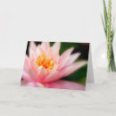 Buscar lotus tarjetas Naturaleza