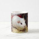 Buscar cavy tazas Roedor