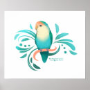 Buscar lovebird posters Aves amorosas