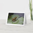 Buscar sapos tarjetas Lirio