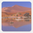 Buscar namibia pegatinas Arena