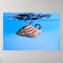Buscar chapoteo posters Agua