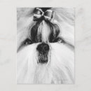 Buscar tzu de shih fotografía Pequeño