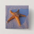 Buscar estrella de la vida chapas Playa