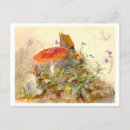 Buscar mushroom postales Hongo