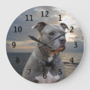 Buscar del perro pitbull relojes de pared General y unisex