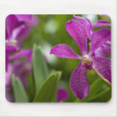 Buscar singapur alfombrillas de raton Asia