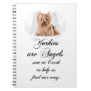 Buscar yorkshire terrier angel Ángel