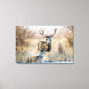 Buscar deer lienzos Vida silvestre